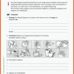 Sekundarstufe Unterrichtsmaterial Fuer Hygiene In Der Küche Arbeitsblatt