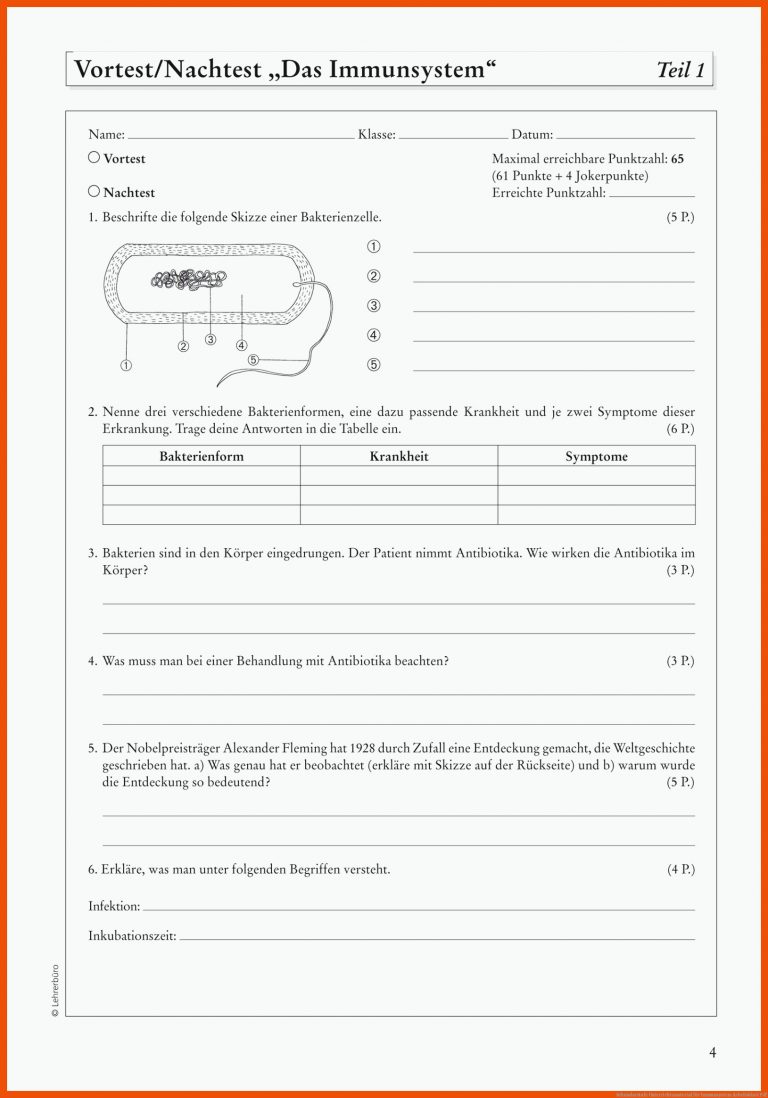 Sekundarstufe Unterrichtsmaterial für immunsystem arbeitsblatt pdf
