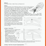 Sekundarstufe Unterrichtsmaterial Naturwissenschaften Bewegungen ... Fuer Warum Können Vögel Fliegen Arbeitsblatt