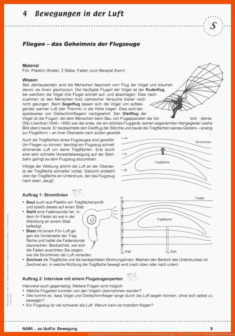 Sekundarstufe Unterrichtsmaterial Naturwissenschaften Bewegungen ... für warum können vögel fliegen arbeitsblatt