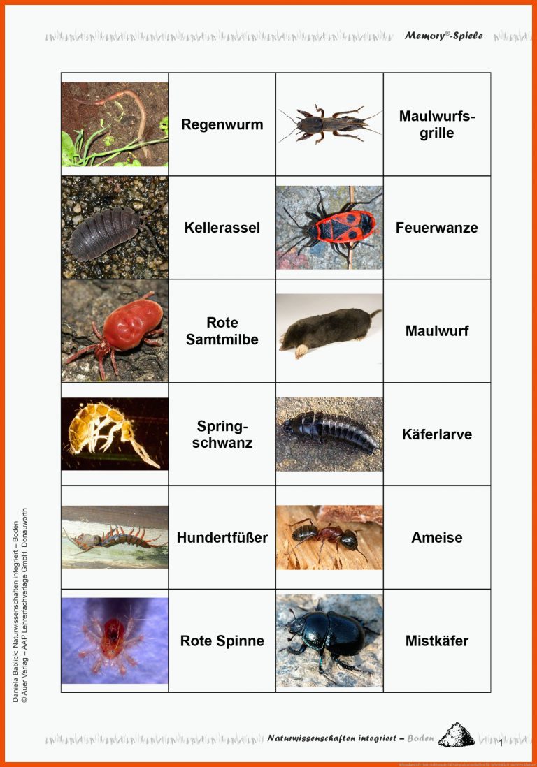 Sekundarstufe Unterrichtsmaterial Naturwissenschaften für arbeitsblatt insekten klasse 6