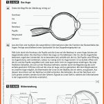 Sekundarstufe Unterrichtsmaterial Physik Optik/akustik ... Fuer Bilder An Sammellinsen Arbeitsblatt Lösungen