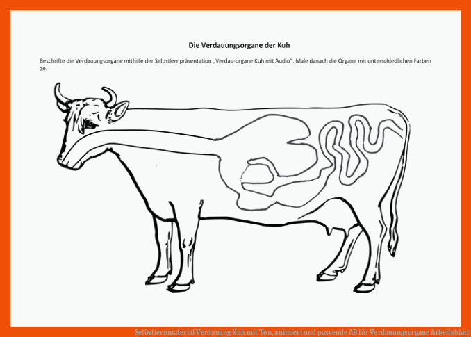 Selbstlernmaterial Verdauung Kuh mit Ton, animiert und passende AB für verdauungsorgane arbeitsblatt
