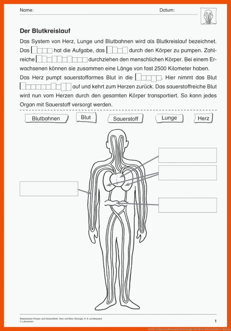 SopÃ¤d Unterrichtsmaterial Biologie Fuer Herz Arbeitsblatt 6. Klasse