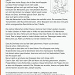 SopÃ¤d Unterrichtsmaterial Deutsch Lesen Und TextverstÃ¤ndnis ... Fuer Sachtexte Klasse 7 Arbeitsblätter Pdf