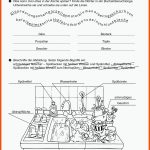 SopÃ¤d Unterrichtsmaterial Hauswirtschaft Fuer Arbeitsblätter Förderschule Geistige Entwicklung Kostenlos