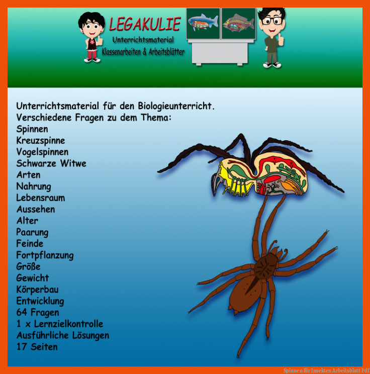 Spinnen für insekten arbeitsblatt pdf