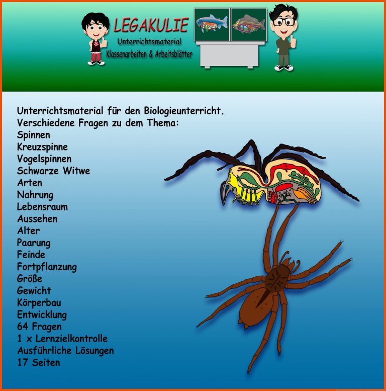 Spinnen | Klassenarbeiten, Spinne, Lernziele für spinnen körperbau arbeitsblatt