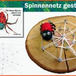 Spinnennetz Gestalten Fuer Arbeitsblatt Spinne Kindergarten