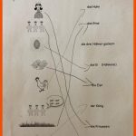 Sprachkurs-projekt Im Homeschooling - Dsg Fuer Das Schönste Ei Der Welt Arbeitsblätter
