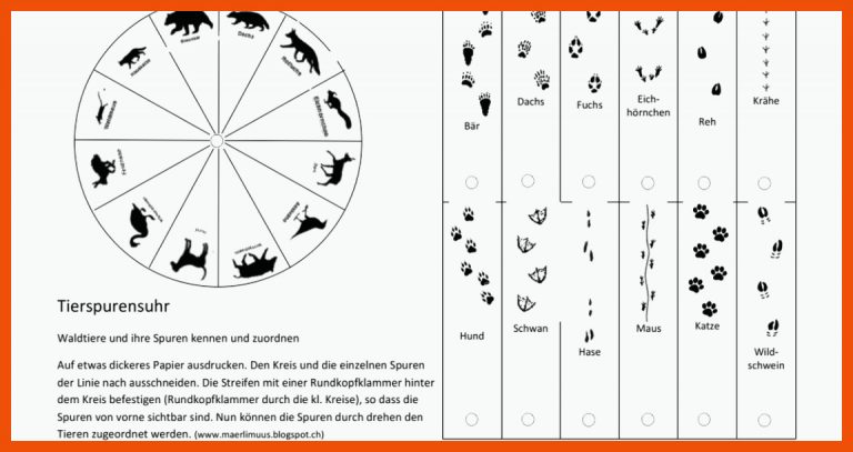 Spurenuhr.pdf Tierspuren Im Schnee, Tierspuren, Waldtiere Fuer Tierspuren Rätsel Arbeitsblatt