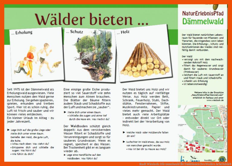 Stadt Wiesloch: DÃ¤mmelwald Fuer Funktionen Des Waldes Arbeitsblatt