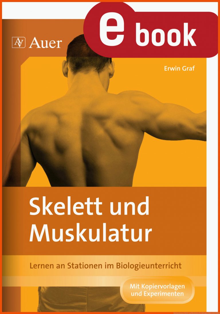 Stationenlernen: Skelett und Muskulatur für haltungsschäden arbeitsblatt