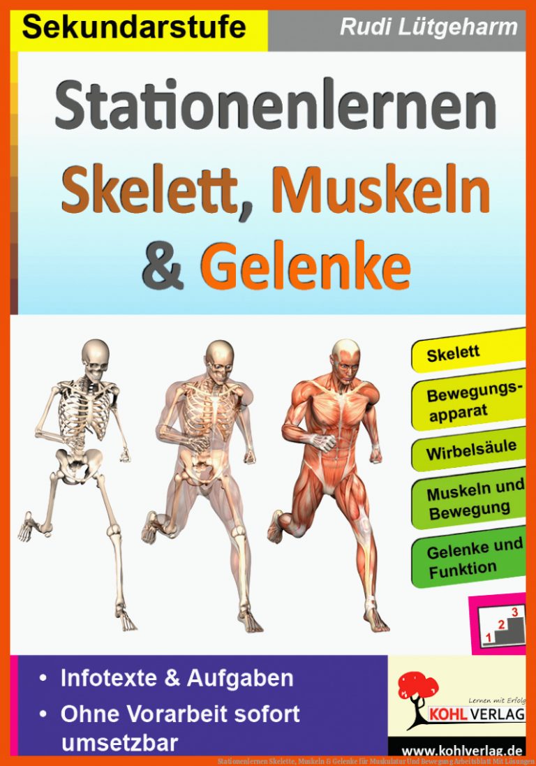 Stationenlernen Skelette, Muskeln & Gelenke Fuer Muskulatur Und Bewegung Arbeitsblatt Mit Lösungen