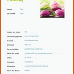 Steckbrief_erstellen_pflanze_in_bio_beispiel Steckbrief ... Fuer Steckbrief Tulpe Arbeitsblatt