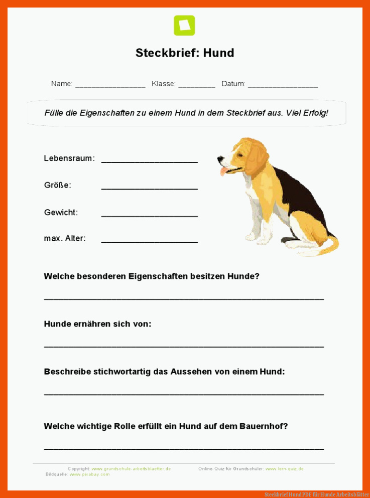 Steckbrief Hund | PDF für hunde arbeitsblätter