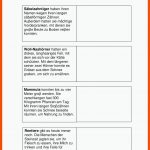 Steinzeit 3./4. Klasse Fuer Steinzeit Arbeitsblätter 5. Klasse Pdf