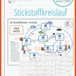 Stickstoffkreislauf Brettspiel â Artofit Fuer Stickstoffkreislauf Arbeitsblatt