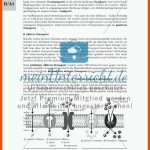 Stofftransport Durch Biomembranen â Ein Storyboard - Meinunterricht Fuer Stofftransport Durch Biomembran Arbeitsblatt