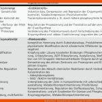 Stoffwechsel - Kompaktlexikon Der Biologie Fuer Stoffwechselwege Im überblick Arbeitsblatt