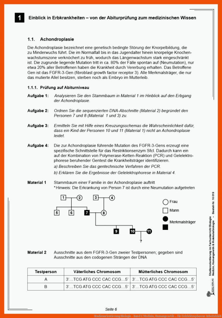 Studienorientierung Biologie - Band 1: Medizin, Humangenetik ... für gelelektrophorese arbeitsblatt