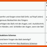 Stunde 1-4: Reiz-reaktions-schema, Sinnesorgane, Sinneszelle Als ... Fuer Vom Reiz Zur Reaktion Arbeitsblatt