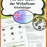 Stunde Zum Vogelzug Biologie Klasse 5 â Unterrichtsmaterial Im ... Fuer Arbeitsblatt Vogelzug