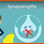 Synapsengifte Fuer Synapsengifte Arbeitsblatt