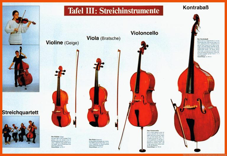 Tafel 3: Streichinstrumente Fuer Zupfinstrumente Arbeitsblatt