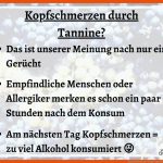 Tannine Fuer Von Der Traube Zum Wein Arbeitsblatt