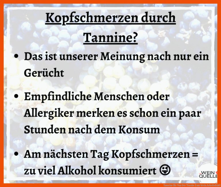Tannine Fuer Von Der Traube Zum Wein Arbeitsblatt
