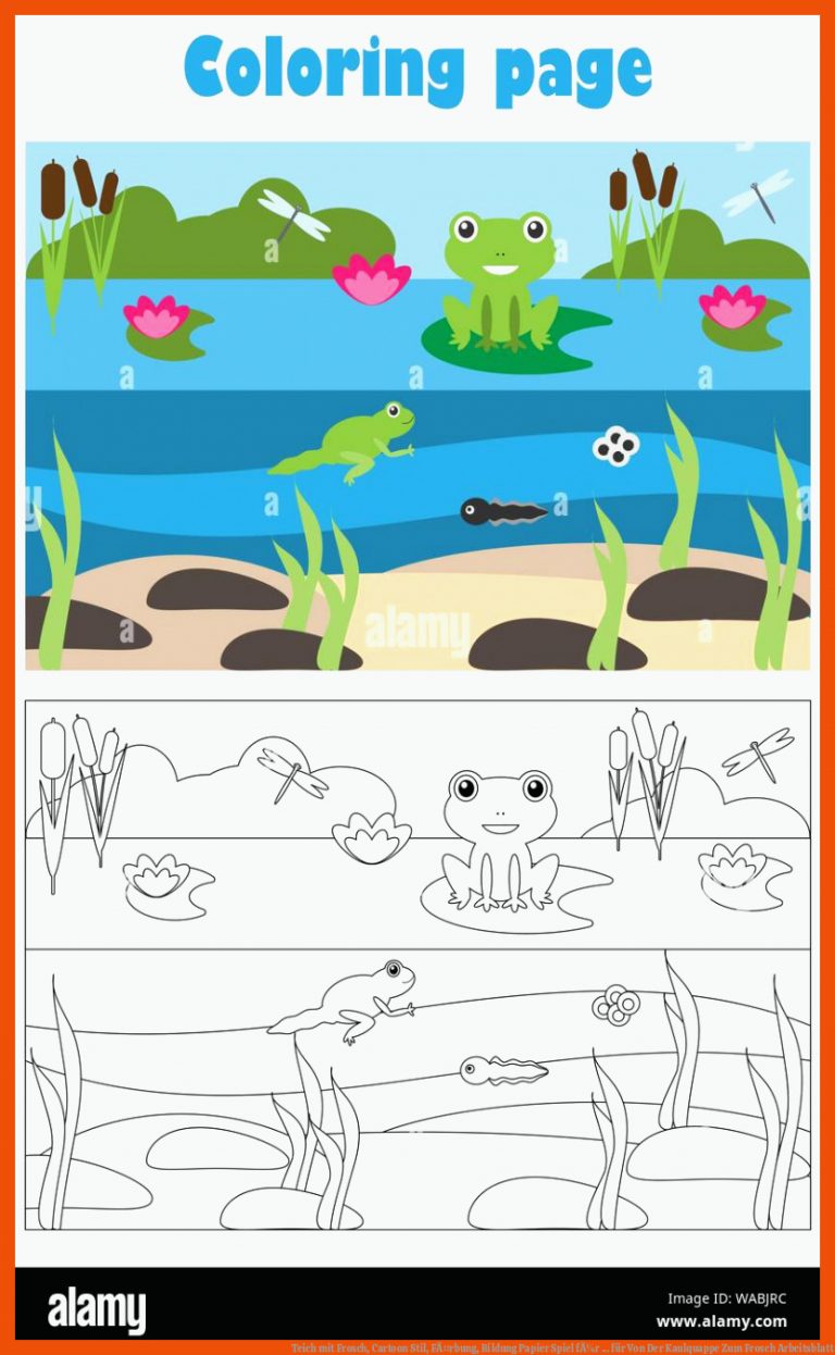 Teich mit Frosch, Cartoon Stil, FÃ¤rbung, Bildung Papier Spiel fÃ¼r ... für von der kaulquappe zum frosch arbeitsblatt