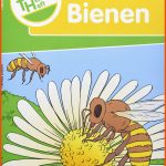 Themenheft Bienen: 1./2. Klasse (themenhefte) : Zabori, Teresa ... Fuer Entwicklung Biene Arbeitsblatt