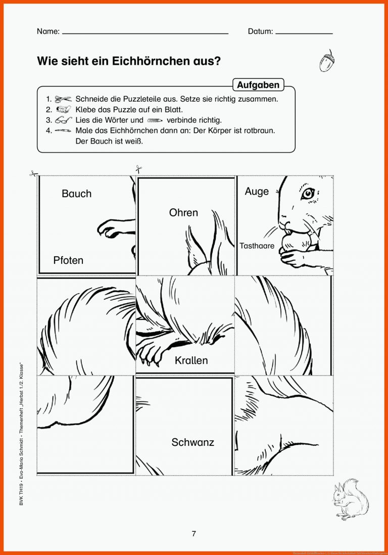 Themenheft EichhÃ¶rnchen 1./2. Klasse für arbeitsblatt eichhörnchen kindergarten