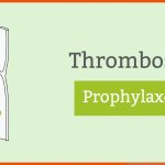 Thromboseprophylaxe Â» Thrombose Ursachen / Risikofaktoren ... Fuer Demenz übungen Arbeitsblätter Pdf