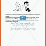 Tier Und Mensch - Ãhnlichkeiten Und Unterschiede - Meinunterricht Fuer Haltungsschäden Arbeitsblatt