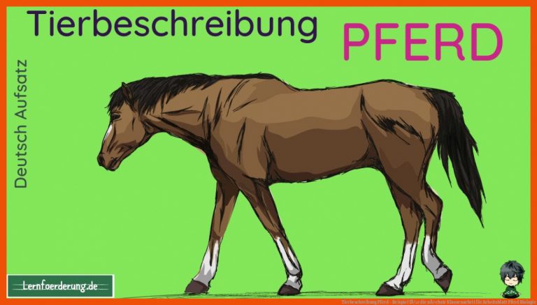 Tierbeschreibung Pferd - Beispiel fÃ¼r die nÃ¤chste Klassenarbeit für arbeitsblatt pferd biologie