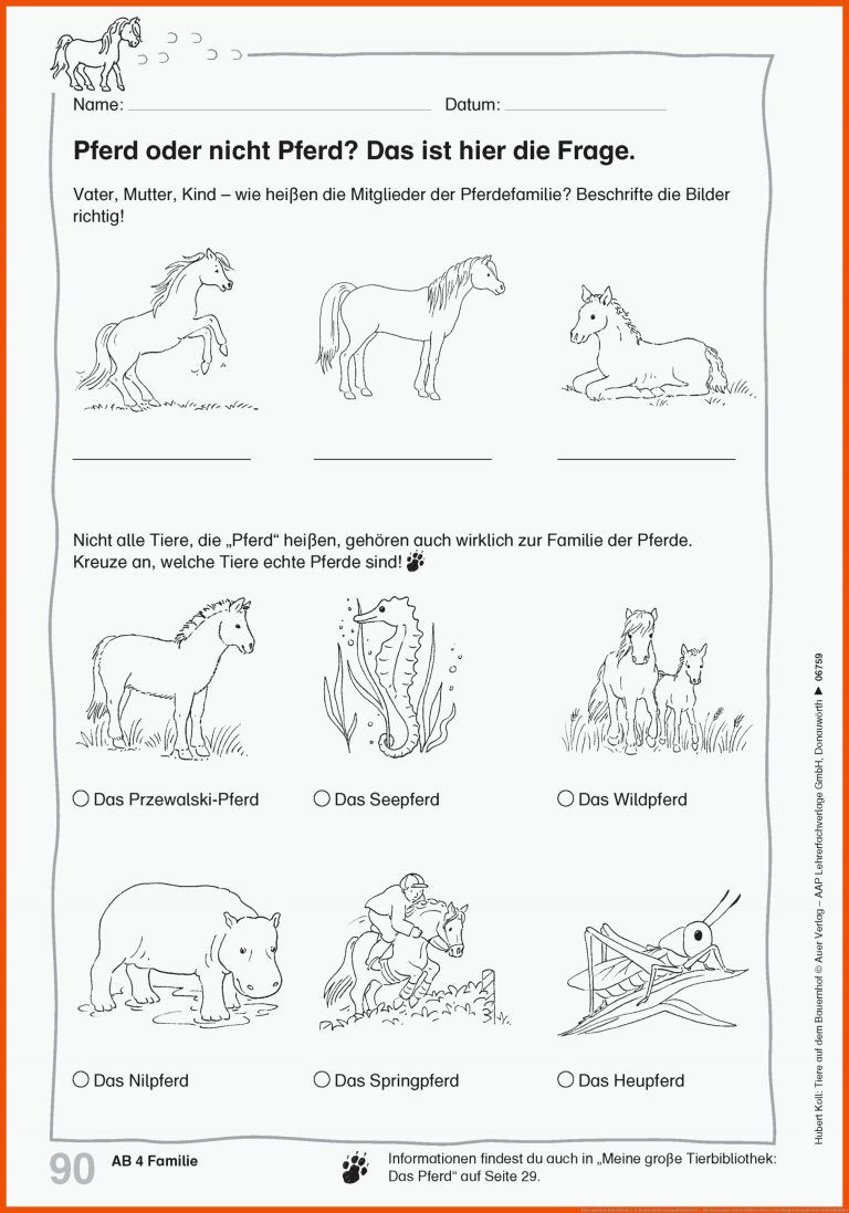 Tiere auf dem Bauernhof, 1-4. Klasse Buch versandkostenfrei ... für kostenlose arbeitsblätter ritter und burgen grundschule arbeitsblätter