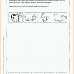 Tiere Auf Dem Bauernhof FÃ¼r Die Kita Buch Versandkostenfrei ... Fuer Arbeitsblätter Bauernhof Kindergarten