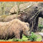 Tiere Der Eiszeit - Allgemein - Medienwerkstatt-wissen Â© 2006-2022 ... Fuer Tiere Der Eiszeit Arbeitsblatt