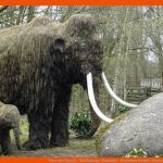 Tiere Der Eiszeit - Wollhaarige Mammut - Medienwerkstatt-wissen ... Fuer Tiere Der Eiszeit Arbeitsblatt