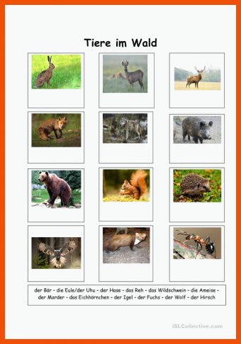 17 Tiere Im Herbst Arbeitsblätter