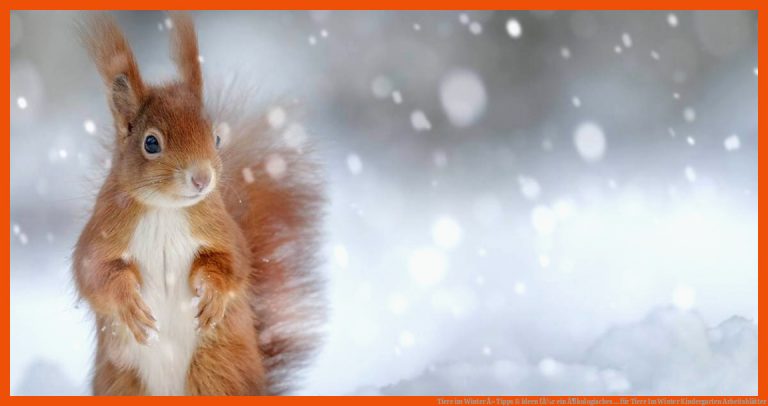 Tiere im Winter Â» Tipps & Ideen fÃ¼r ein Ã¶kologisches ... für tiere im winter kindergarten arbeitsblätter
