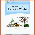 Tiere Im Winter - Werkstatt FÃ¼r Die Grundschule Fuer Tiere Im Winter Arbeitsblätter