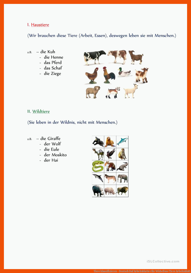 Tiere klassifizieren - Deutsch Daf Arbeitsblatter für wirbellose tiere arbeitsblatt