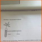 Transpiration Pflanzen, Versuch? (schule, Biologie, Wasser) Fuer Spaltöffnungen Arbeitsblatt