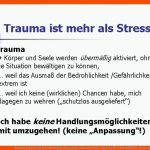 Trauma Und Geistige Behinderung Fachtagung Barmherzige Brder Algasing Fuer Vulnerabilitäts-stress-modell Arbeitsblatt