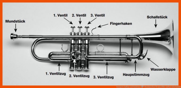 Trompete Aufbau und Funktion âº Musikmachen für querflöte aufbau arbeitsblatt