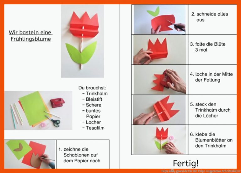 Tulpe â¢ gpaed.de für die tulpe guggenmos arbeitsblätter