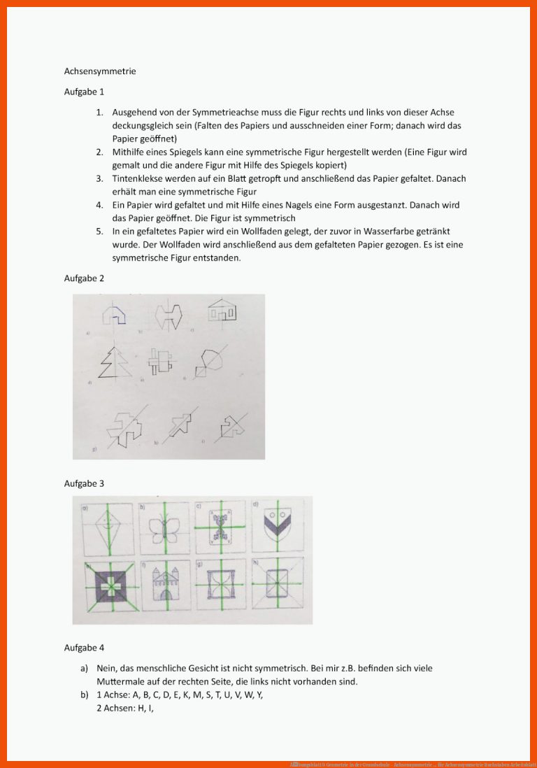 Ãbungsblatt 9 Geometrie in der Grundschule - Achsensymmetrie ... für achsensymmetrie buchstaben arbeitsblatt